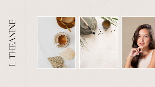 L-Theanine Explained: The Best Supplement for Calm, Focus and Mental Clarity