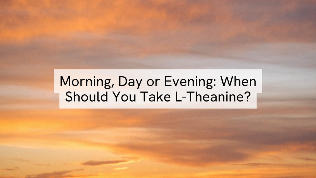 Morning, Day or Evening: When Should You Take L-Theanine?