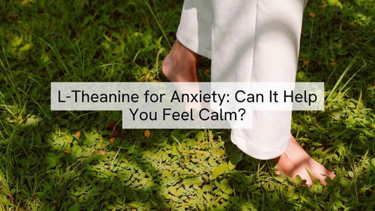 L-Theanine for Anxiety: Can It Help You Feel Calm?