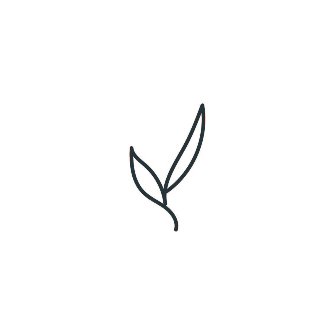 Image of leaf to represent L-Theanine's ability to provide a sense of calm.